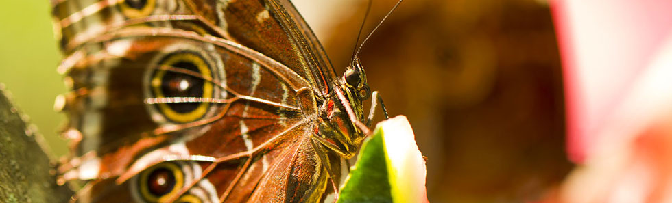 让管理更到位的DDOS网页端源码