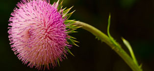 DDOS在线压力测试