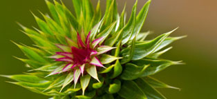 先进且具有开创性的网站压力测试